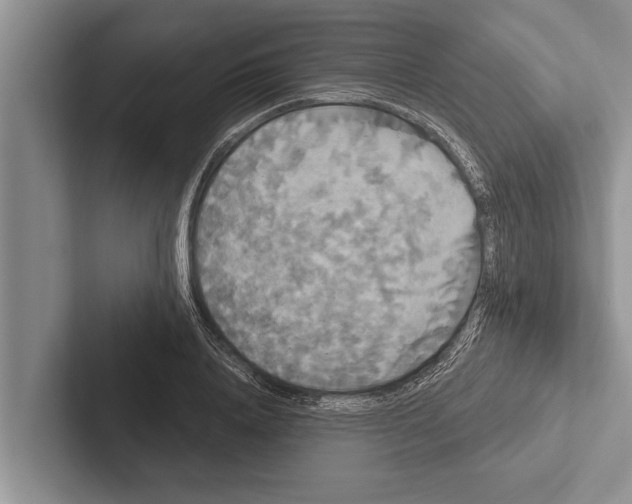 X0000102530840200809051507