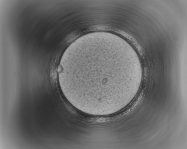 X0000102530841200809051507