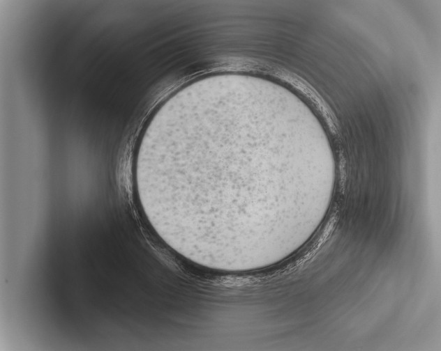 X0000102530842200809051507
