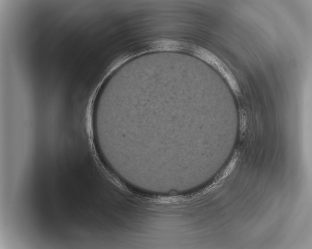 X0000102530843200809051507