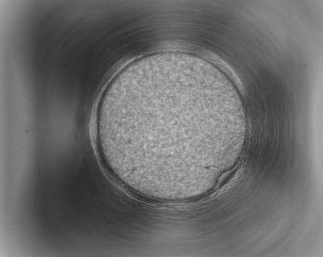 X0000102530844200809051507