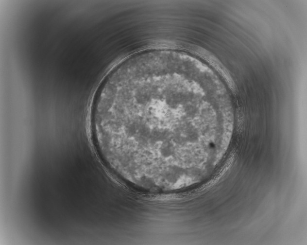X0000102530845200809051507