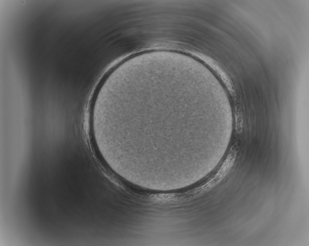 X0000102530846200809051507