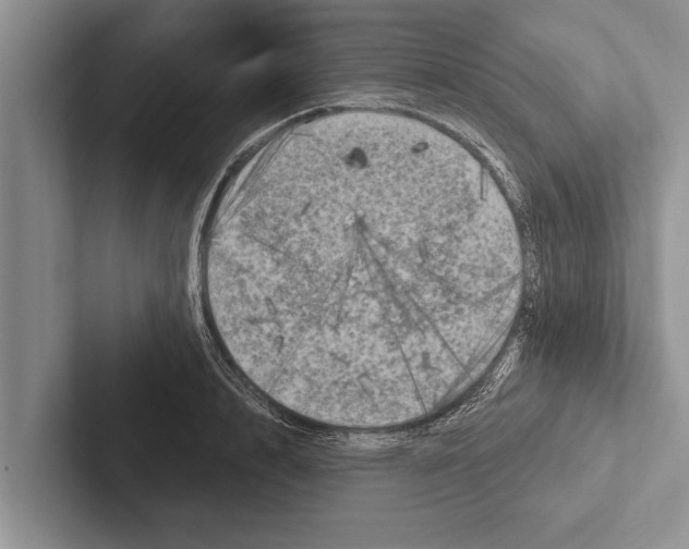 X0000102530848200809051507