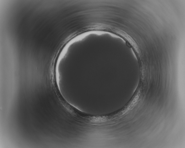 X0000102530850200809051508
