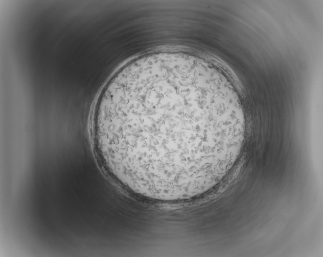 X0000102530852200809051508