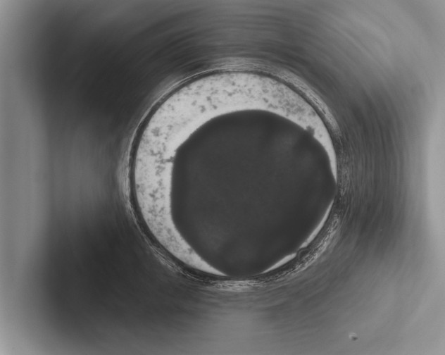 X0000102530853200809051508