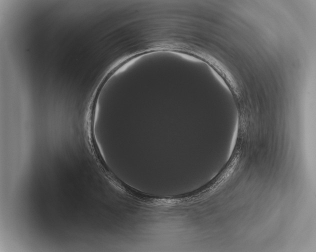 X0000102530854200809051508