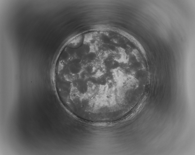 X0000102530855200809051508