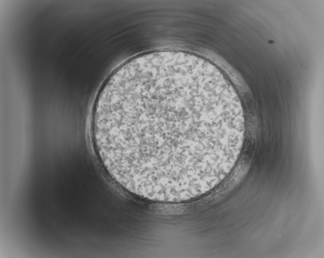 X0000102530856200809051508