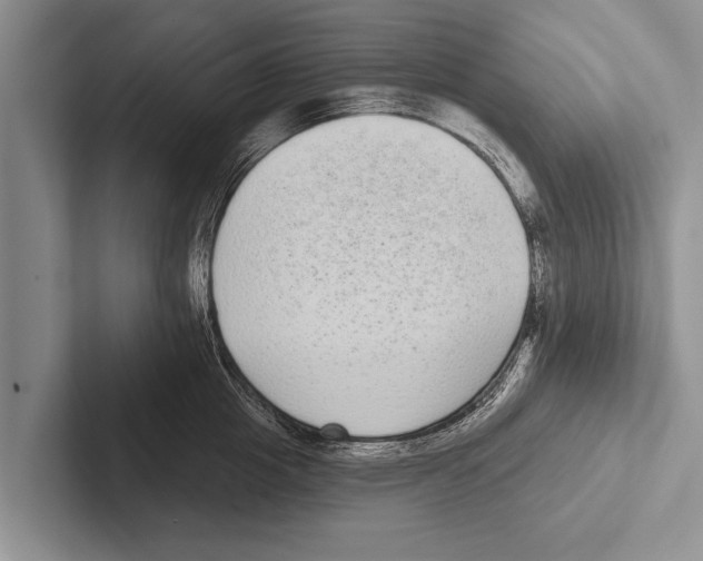 X0000102530857200809051508