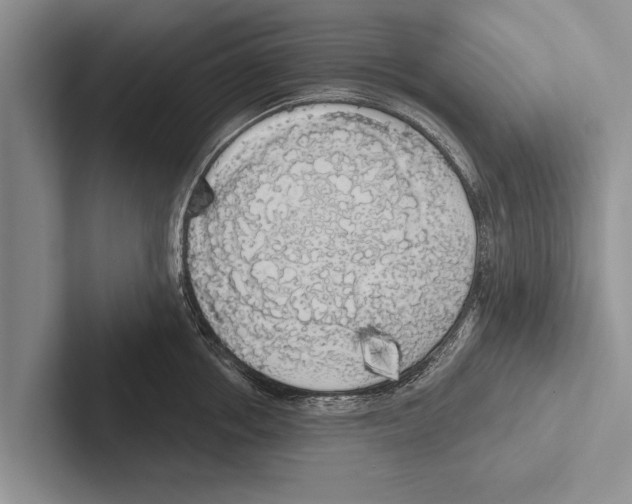 X0000102530858200809051508