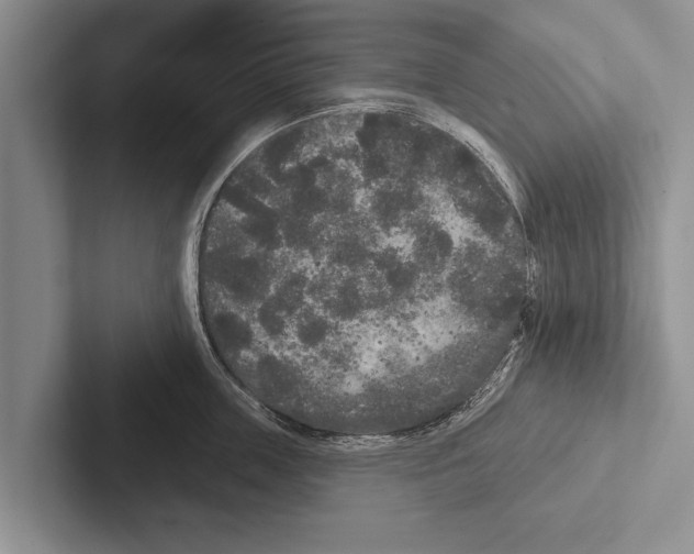 X0000102530859200809051508