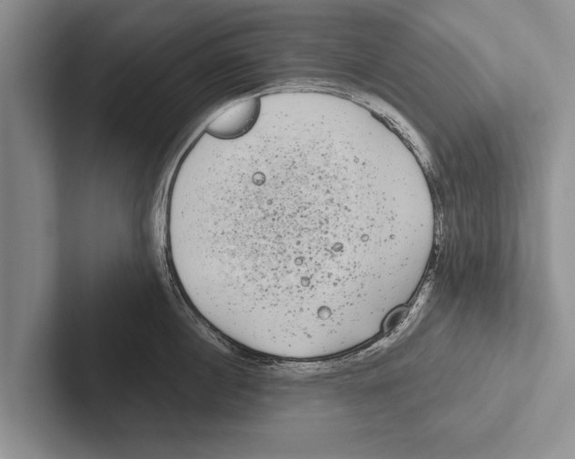 X0000102530860200809051508
