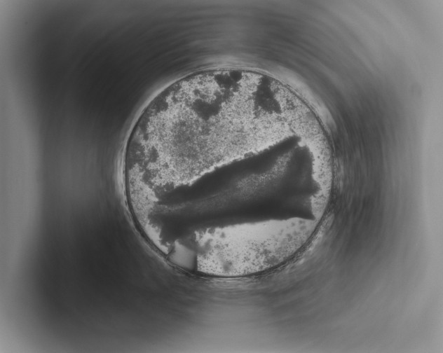 X0000102530863200809051508