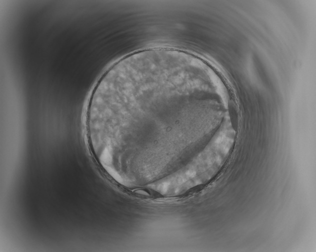 X0000102530864200809051508