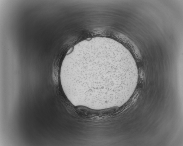 X0000102530868200809051507