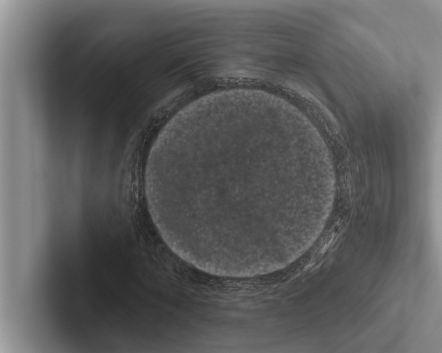 X0000102530870200809051507