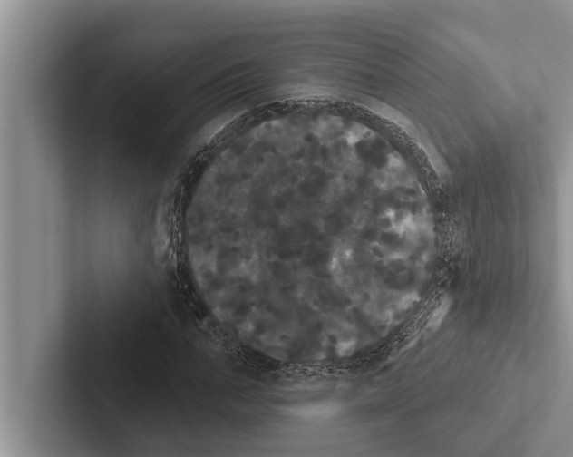 X0000102530871200809051507