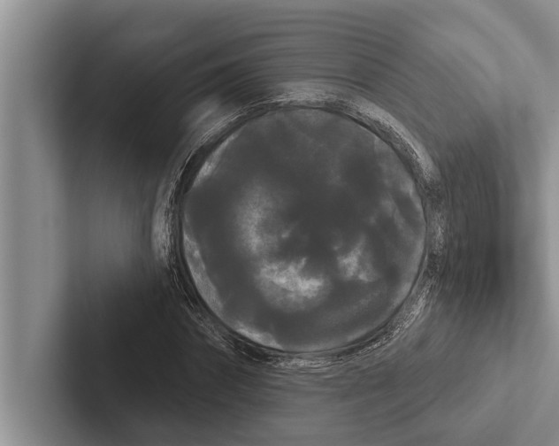 X0000102530874200809051507