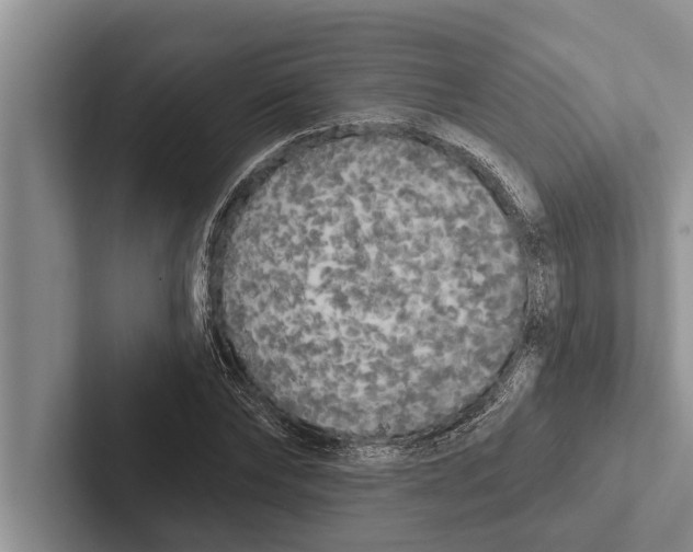 X0000102530878200809051507