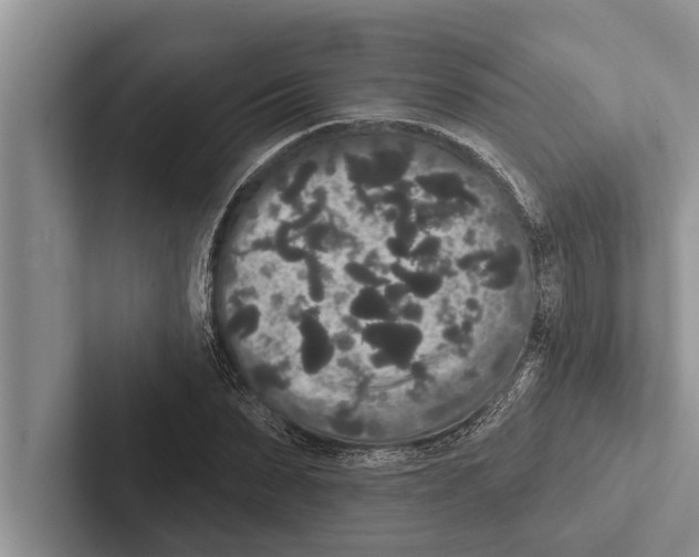 X0000102530879200809051507