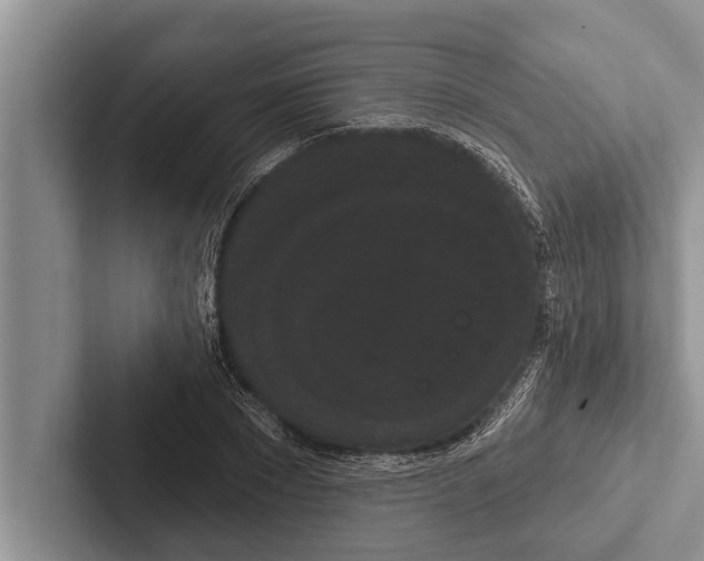 X0000102530881200809051507