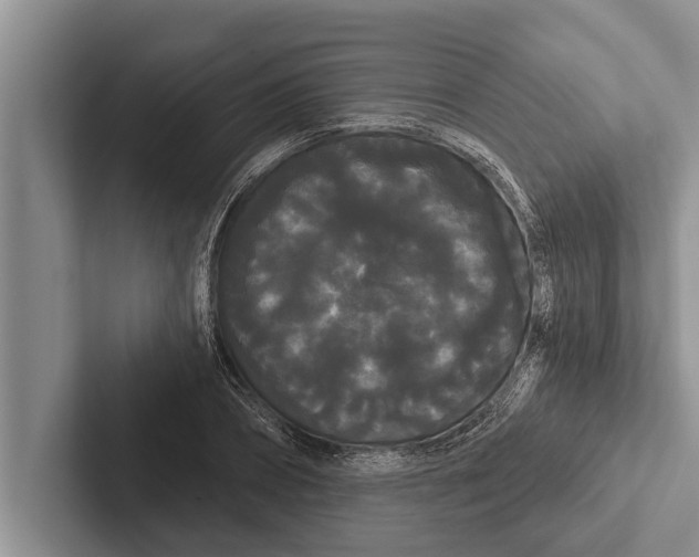X0000102530882200809051507