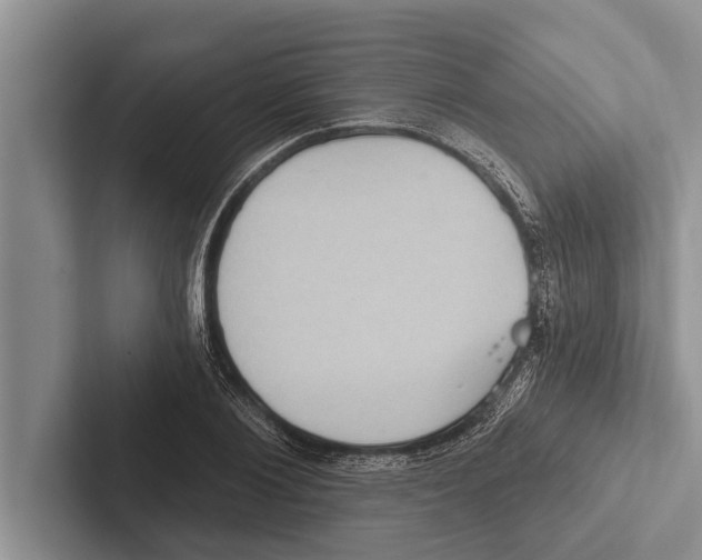X0000102530884200809051507