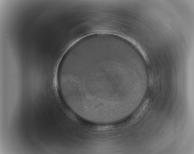 X0000102530887200809051507