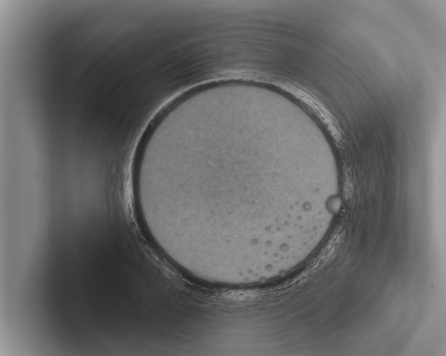 X0000102530888200809051507