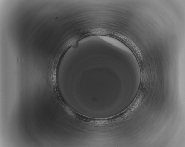 X0000102530889200809051507