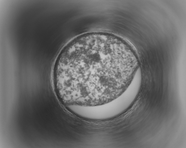 X0000102530895200809051507