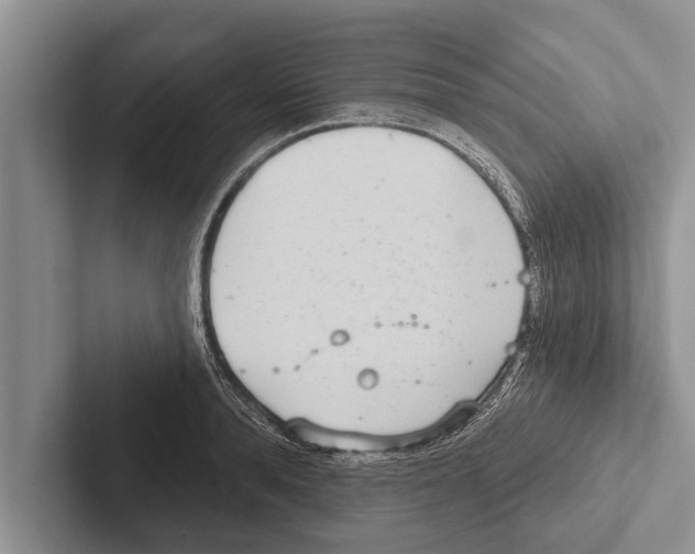 X0000102530896200809051507