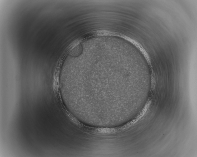 X0000102530897200809051507