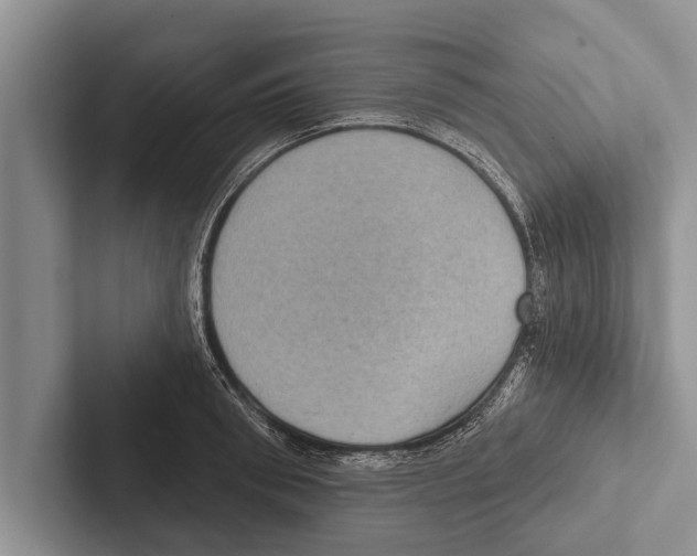 X0000102530898200809051507