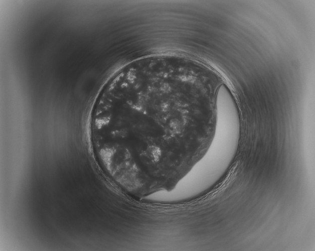 X0000102530899200809051507