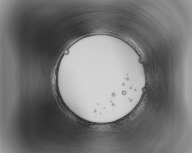 X0000102530900200809051507