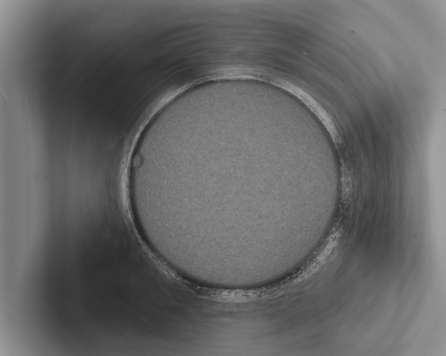 X0000102530901200809051507