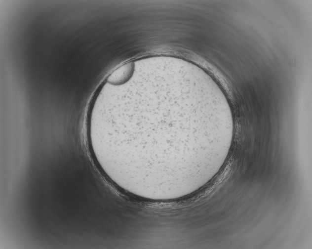 X0000102530902200809051507