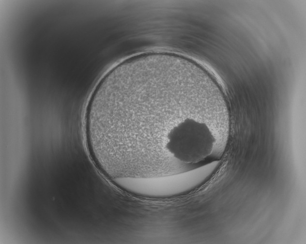 X0000102530903200809051507