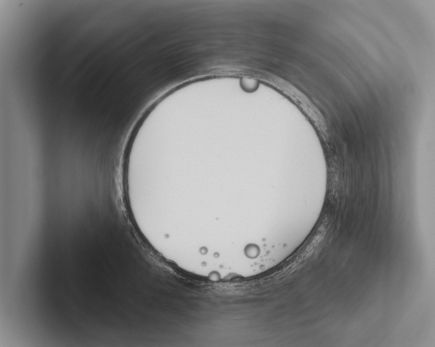 X0000102530904200809051507