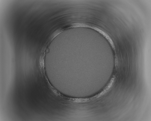 X0000102530905200809051507
