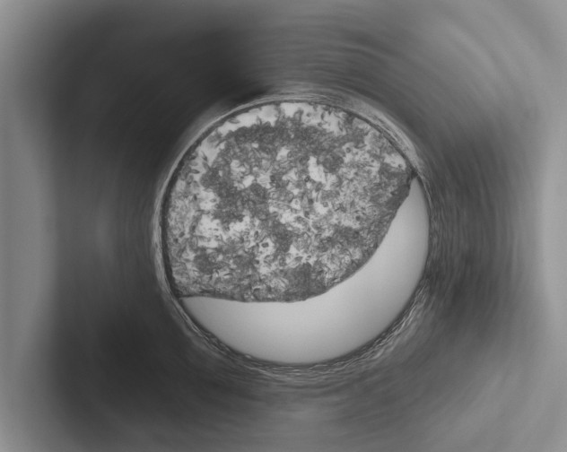 X0000102530907200809051506