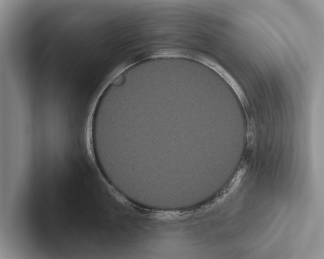 X0000102530909200809051506