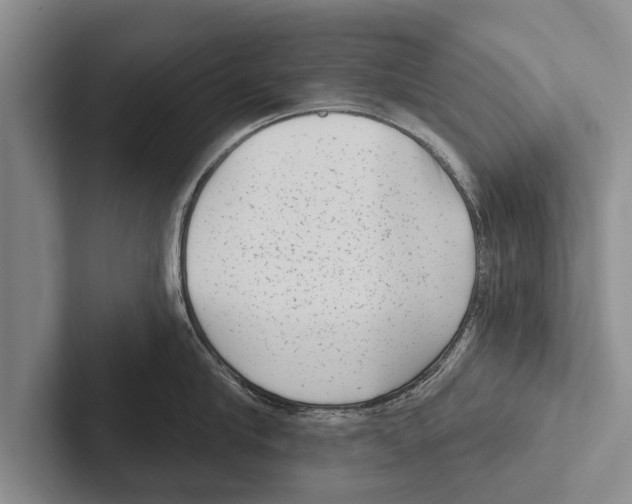 X0000102530910200809051506