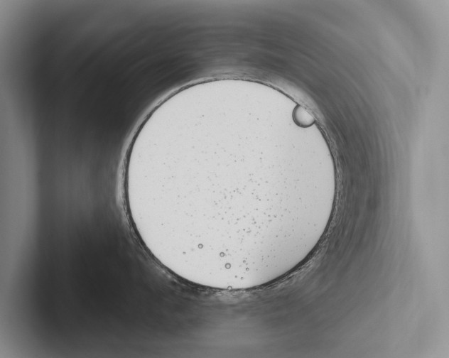 X0000102530912200809051506
