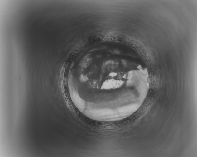 X0000102530913200809051506