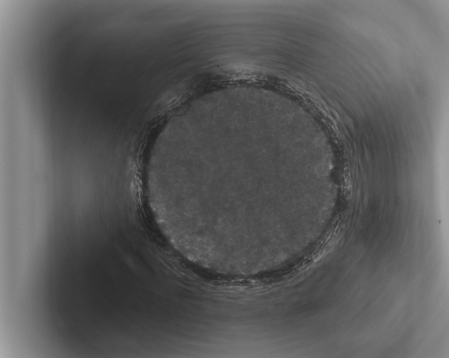 X0000102530916200809051506
