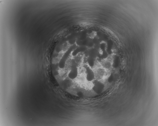 X0000102530917200809051506